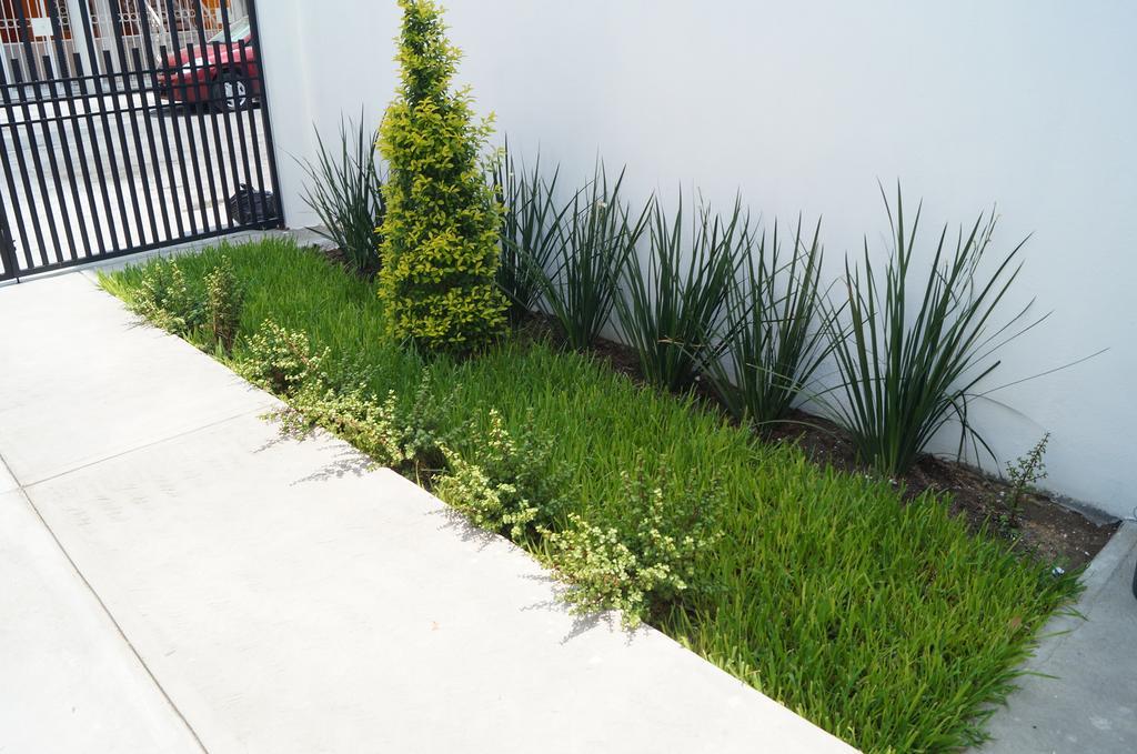 Mv Suites Monterrey Exterior foto
